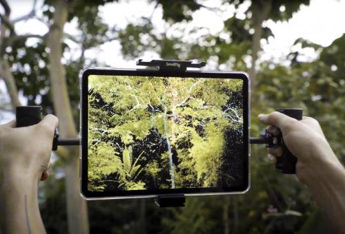 Hands holding screen up towards trees in the Rainforest Biome to reveal an augmented reality view of trees